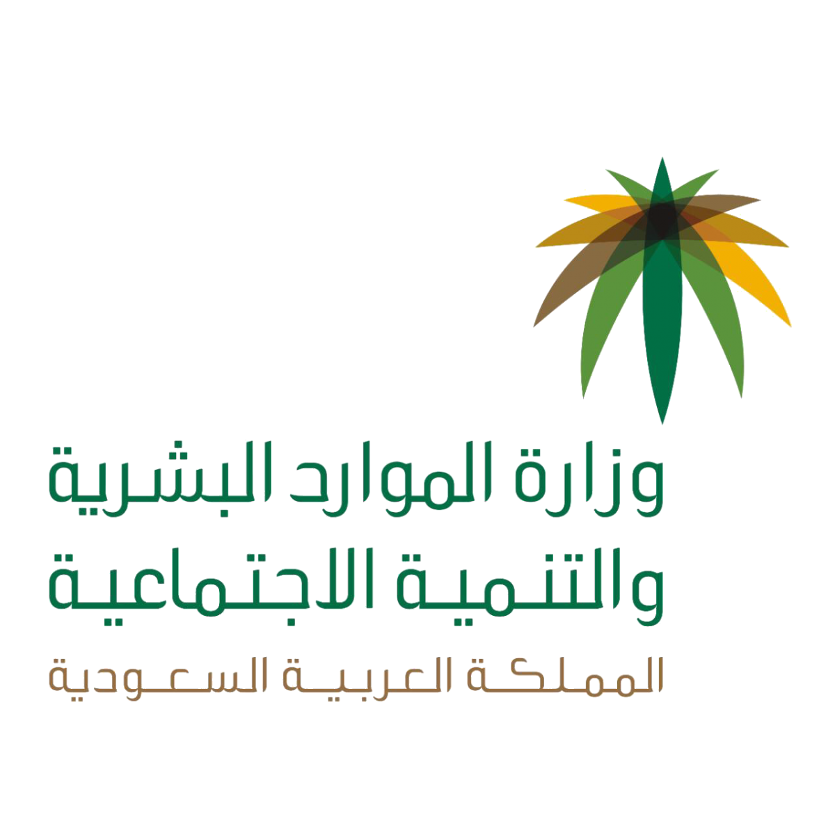 مكتب الضمان الإجتماعية(فرع القطيف)