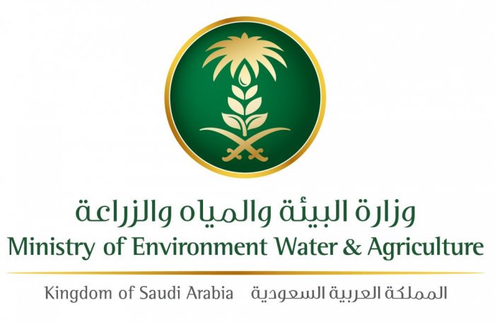 ريف